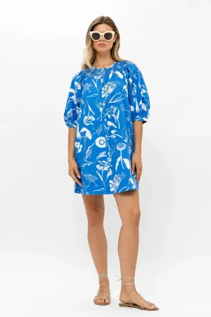 Audubon Blue Embroidered Button Mini Dress